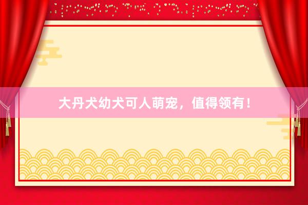 大丹犬幼犬可人萌宠，值得领有！